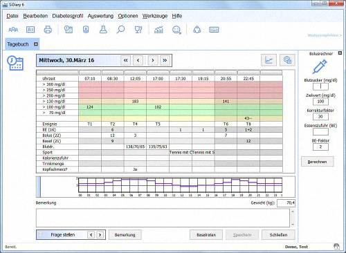 SiDiary - Diabetes-Tagebuch - Blutzucker-Tagesprofil